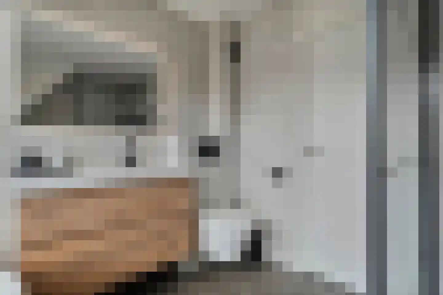 Kolkakkers 19 Dalen thumbnail 35