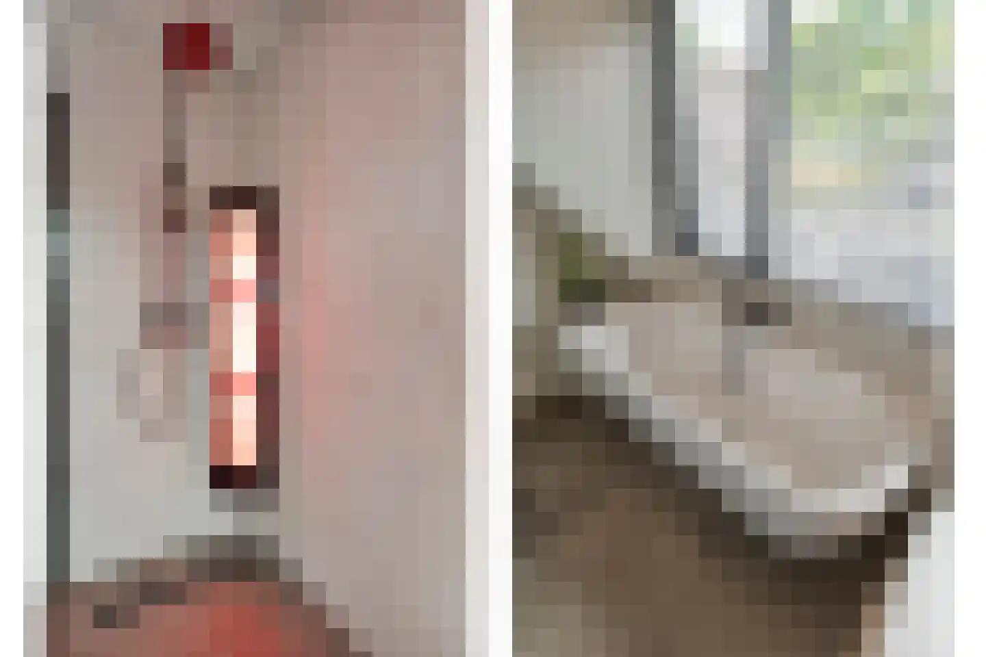 Kolkakkers 19 Dalen thumbnail 36