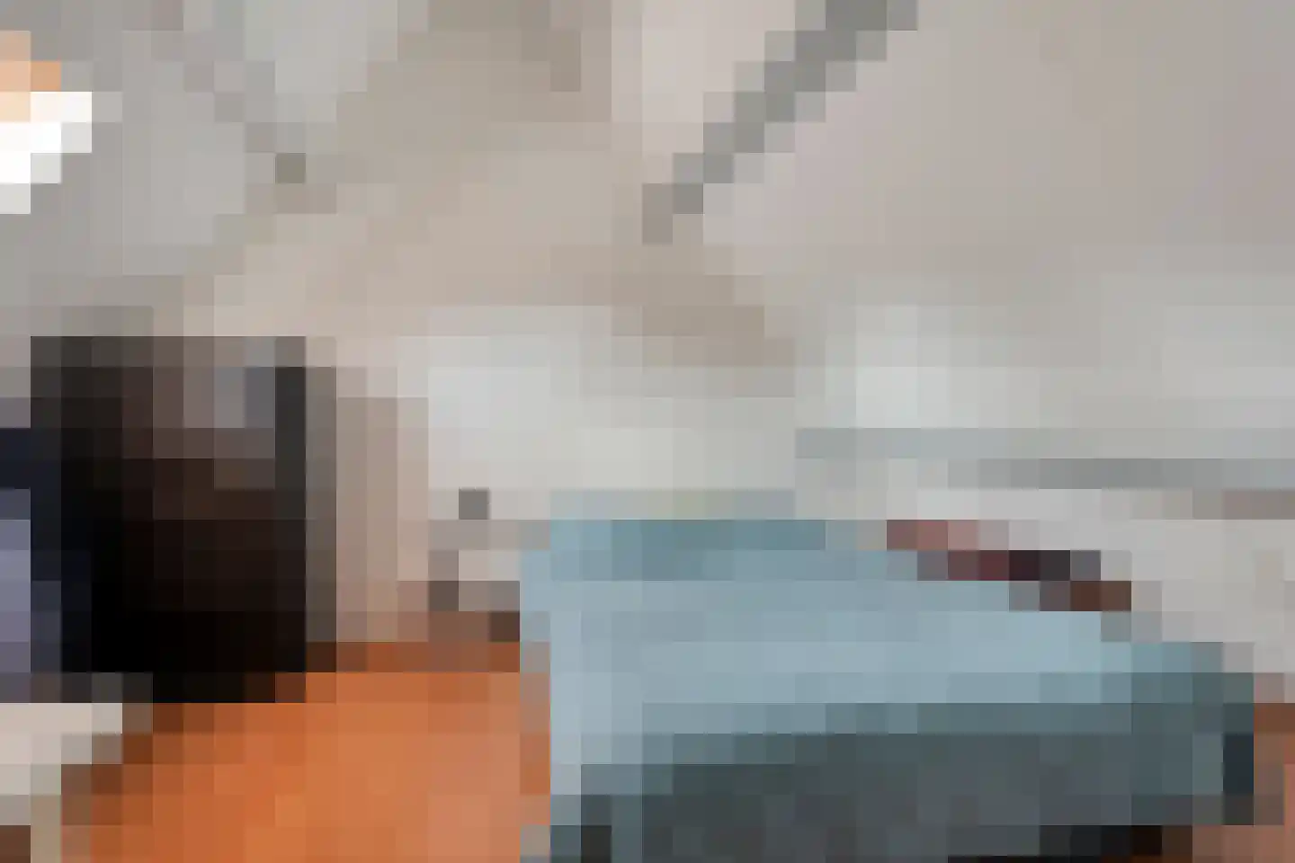 Kolkakkers 19 Dalen thumbnail 38