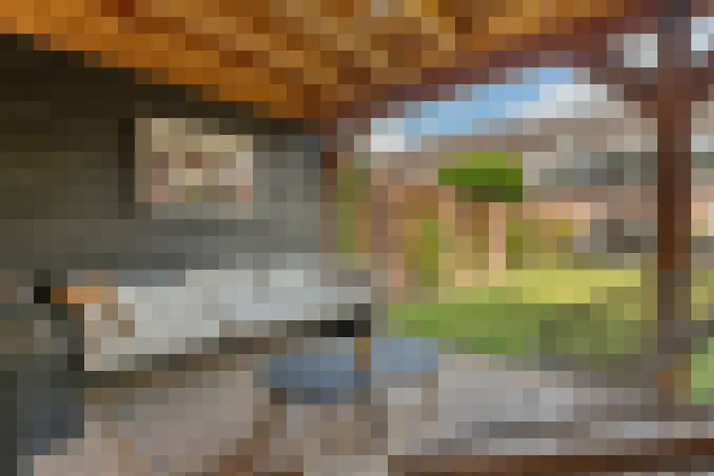 Kolkakkers 19 Dalen thumbnail 4