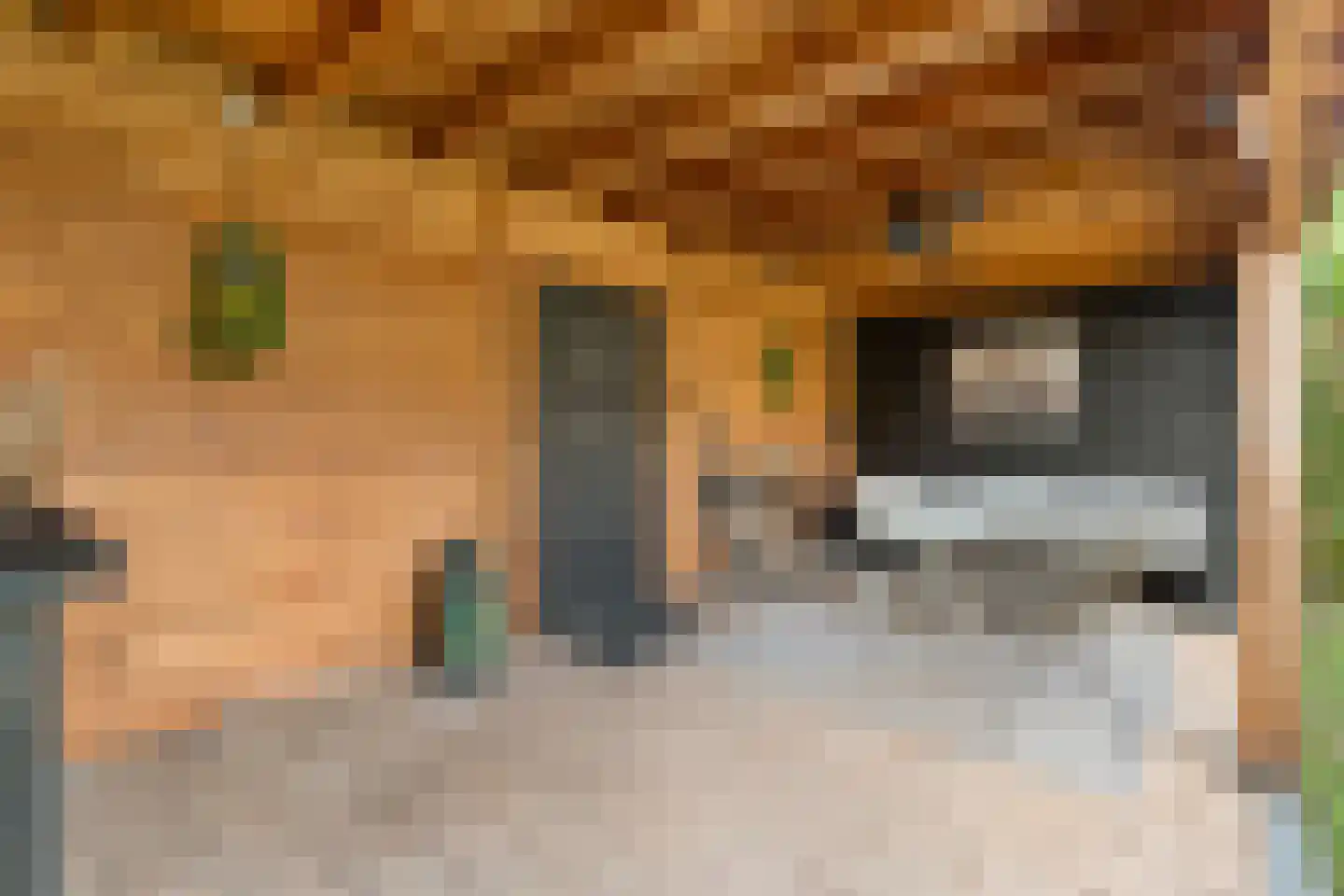 Kolkakkers 19 Dalen thumbnail 40