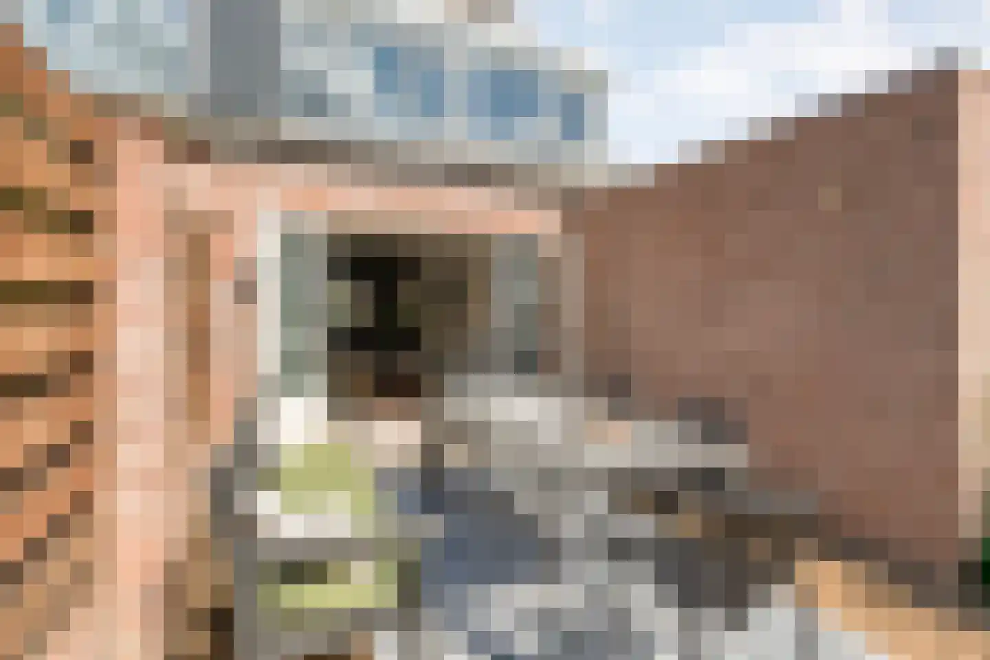 Kolkakkers 19 Dalen thumbnail 42
