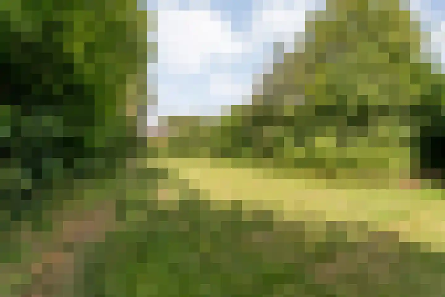 Kolkakkers 19 Dalen thumbnail 49