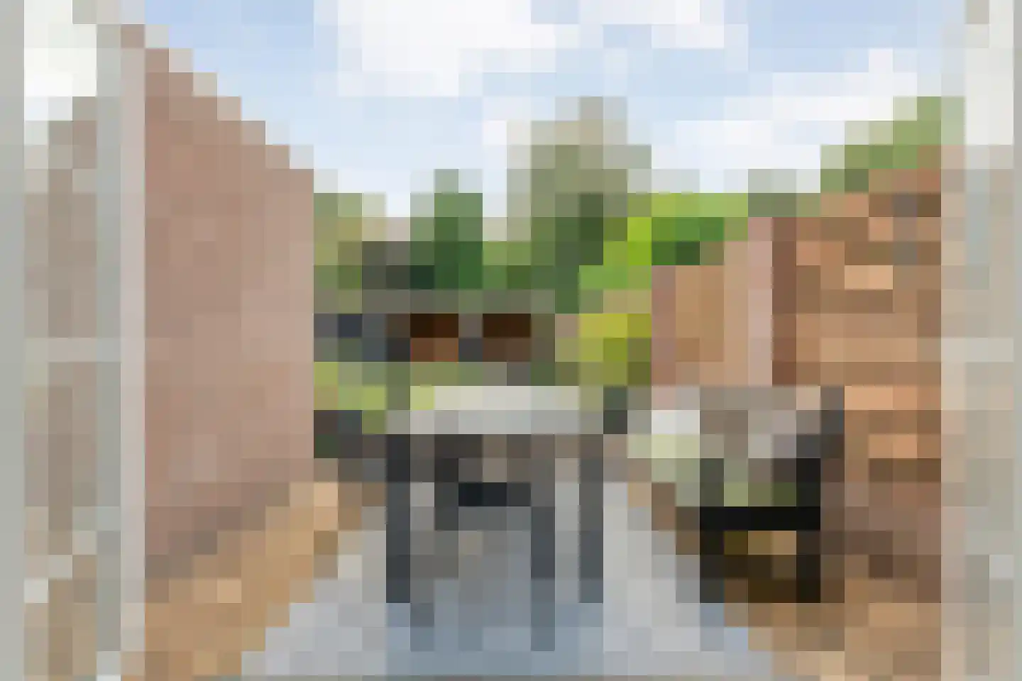 Kolkakkers 19 Dalen thumbnail 50