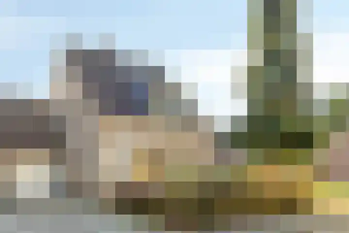 Kolkakkers 24 Dalen