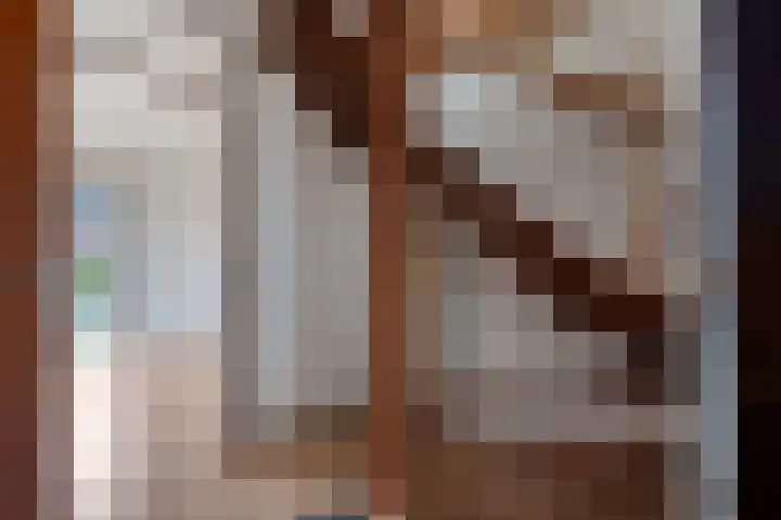 Kolkakkers 24 Dalen thumbnail 10