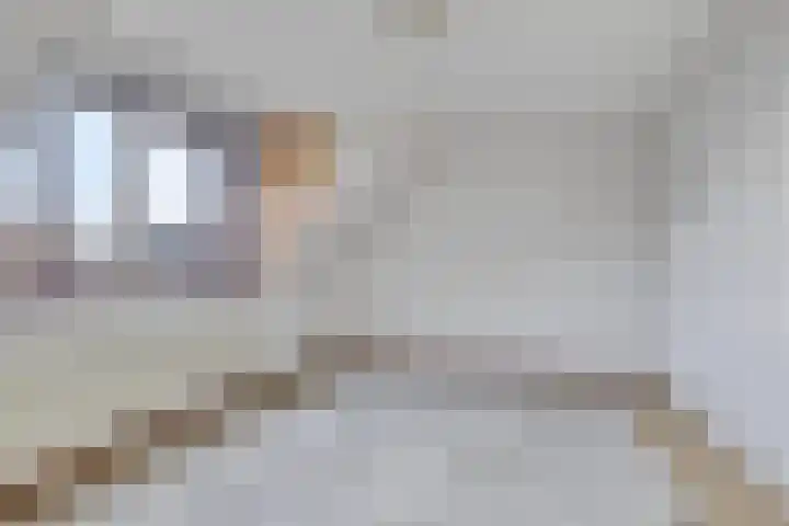 Kolkakkers 24 Dalen thumbnail 12