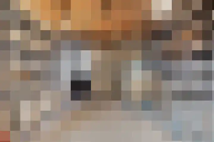 Kolkakkers 24 Dalen thumbnail 23