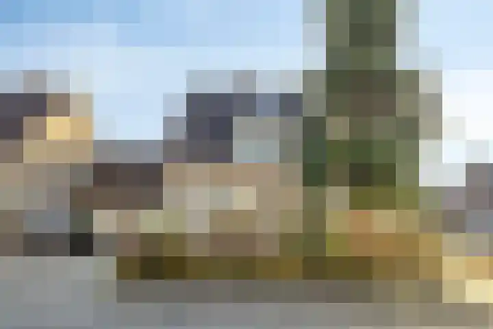 Kolkakkers 24 Dalen thumbnail 28