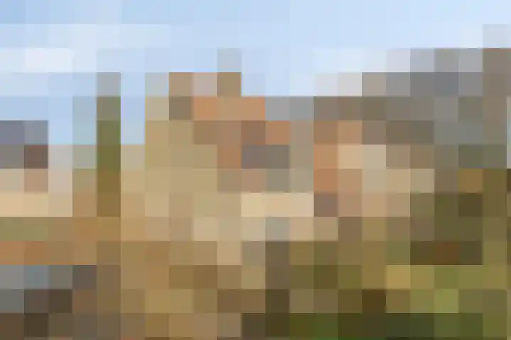 Kolkakkers 24 Dalen thumbnail 32