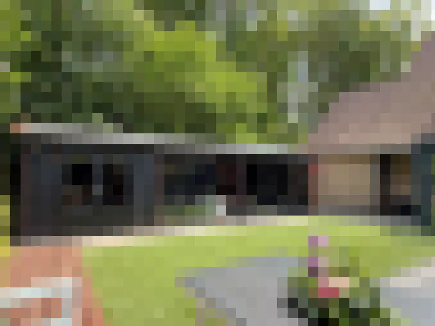 Kolkakkers 50 Dalen thumbnail 18