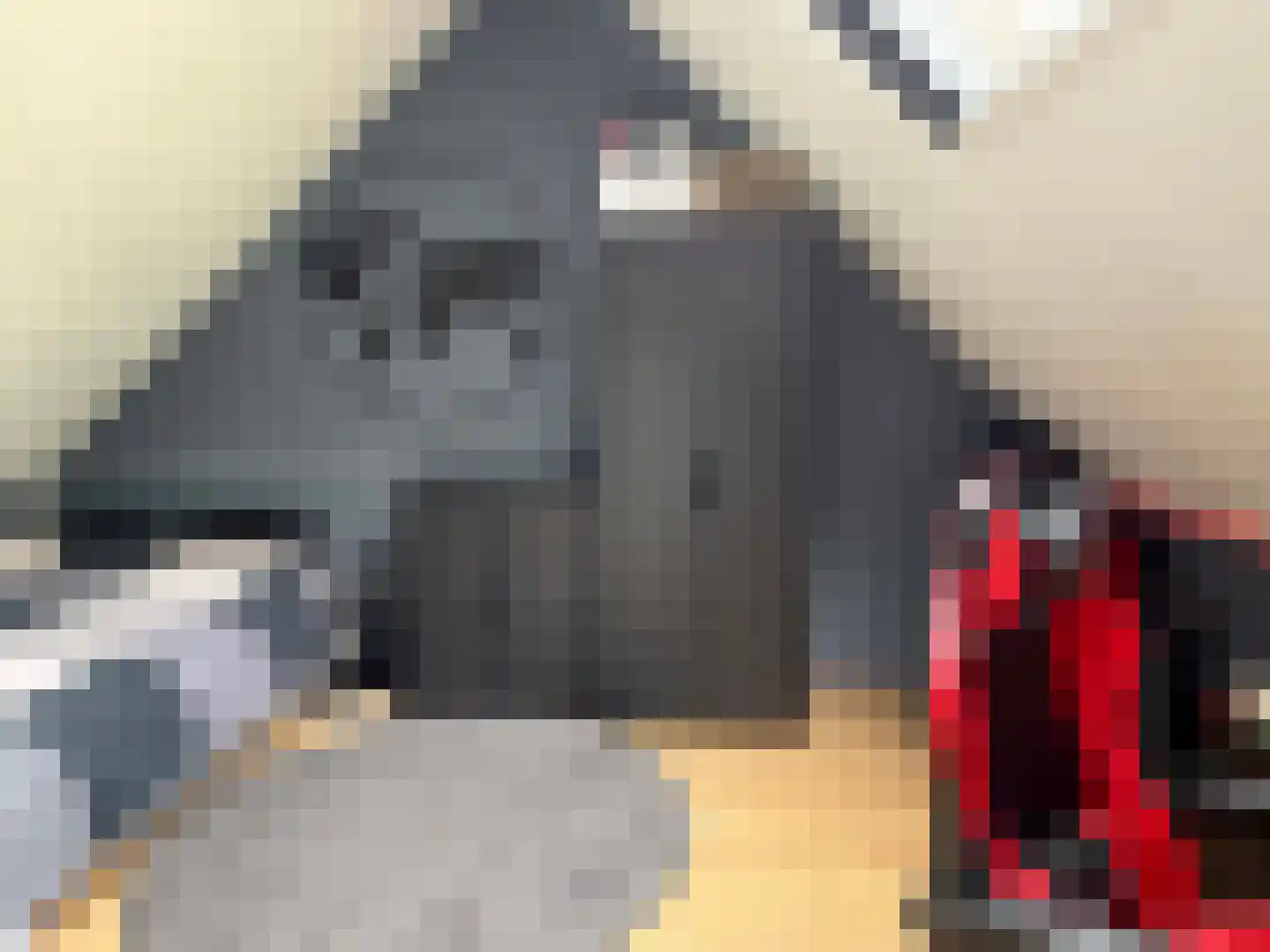 Kolkakkers 50 Dalen thumbnail 42