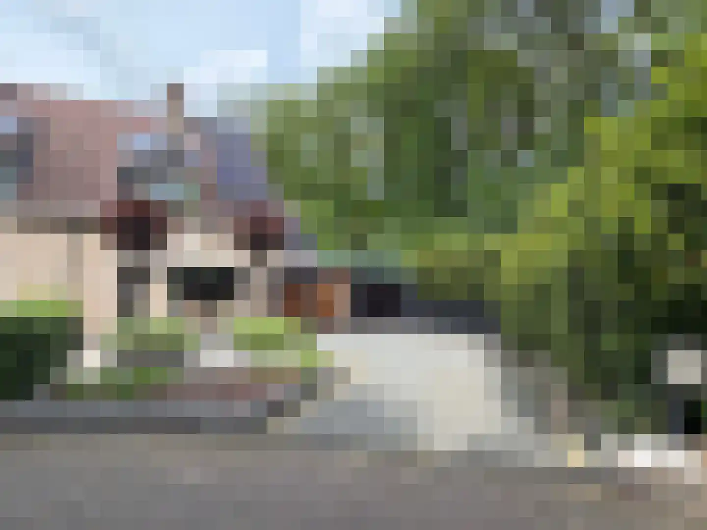 Kolkakkers 50 Dalen thumbnail 6