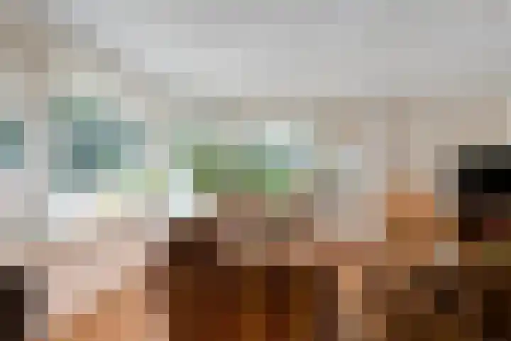 Kolkakkers 98 Dalen thumbnail 13