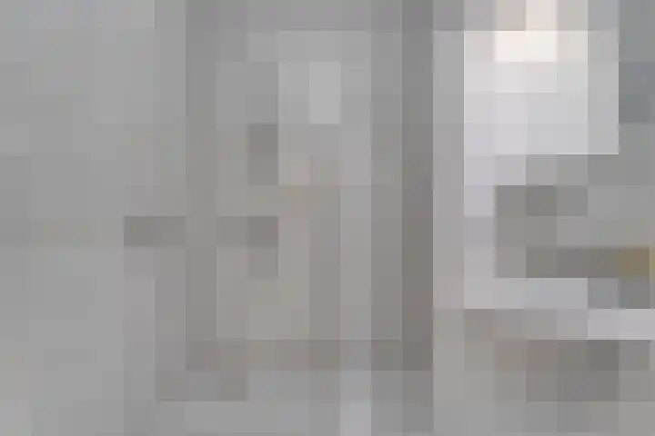 Kolkakkers 98 Dalen thumbnail 21