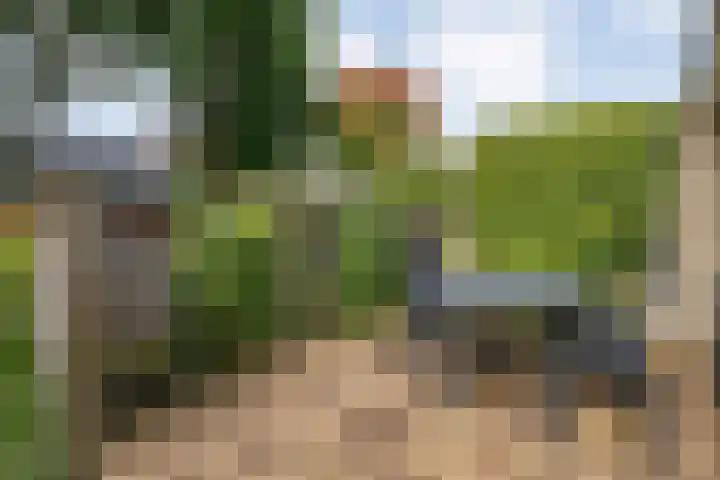 Kolkakkers 98 Dalen thumbnail 25