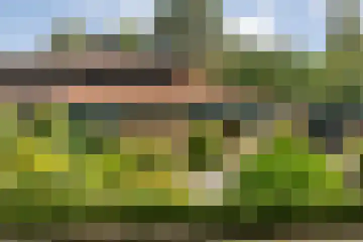 Kolkakkers 98 Dalen foto 3