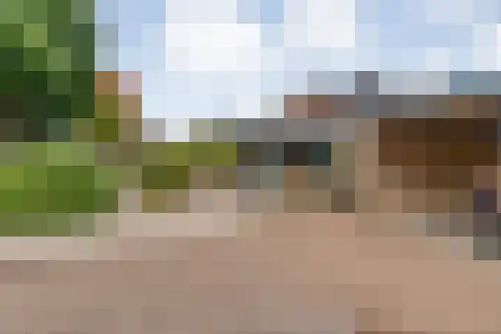 Kolkakkers 98 Dalen thumbnail 4