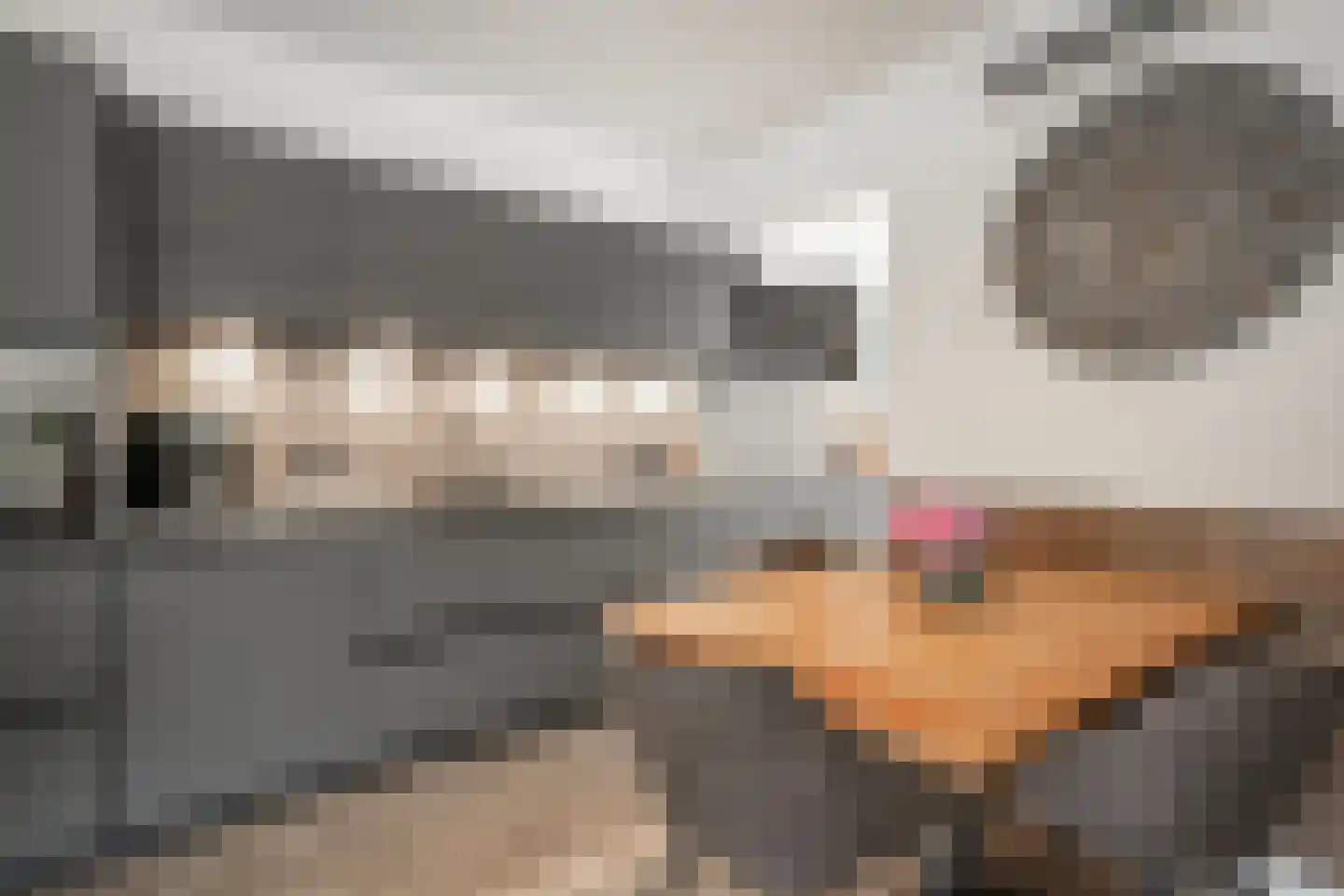 Kolkakkerweg 77 Ede thumbnail 7