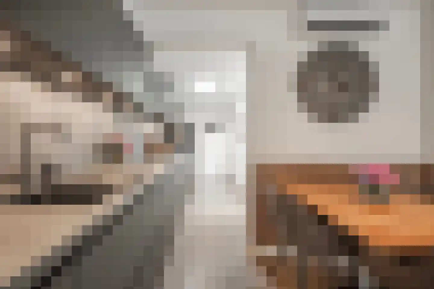 Kolkakkerweg 77 Ede thumbnail 8