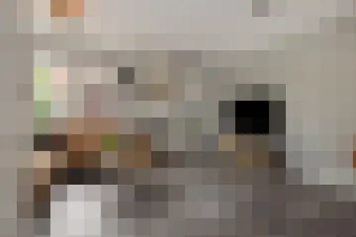 Kolkbeemden 34 Helmond thumbnail 12