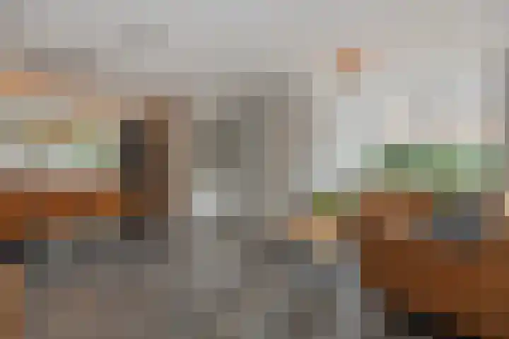 Kolkbeemden 34 Helmond thumbnail 14