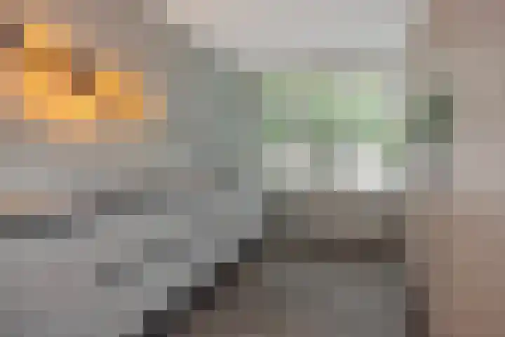 Kolkbeemden 34 Helmond thumbnail 18