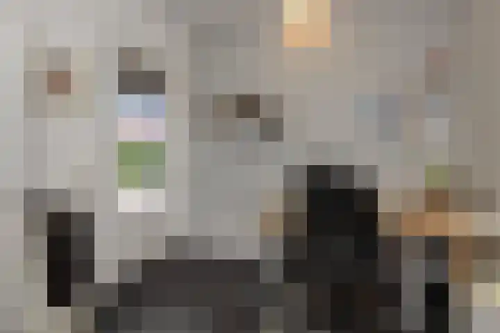 Kolkbeemden 34 Helmond thumbnail 33