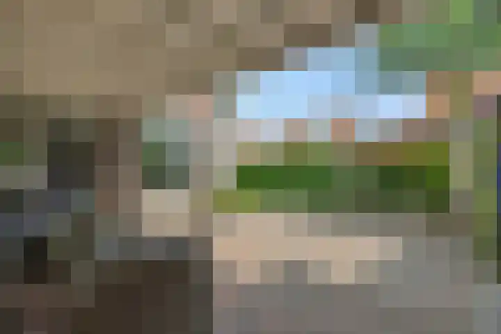 Kolkbeemden 34 Helmond thumbnail 35