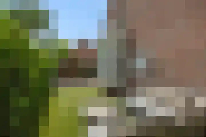Kolkbeemden 34 Helmond thumbnail 40