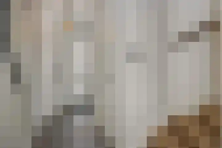 Kolkbeemden 34 Helmond thumbnail 9