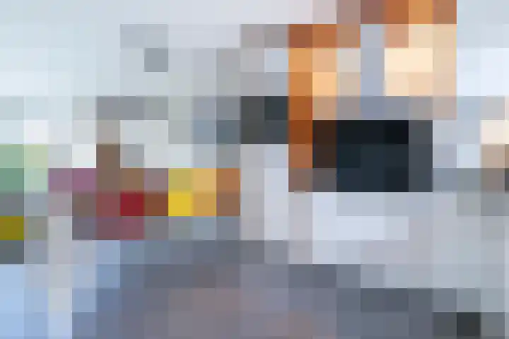 Kolkemonde 18 Nieuwegein thumbnail 12