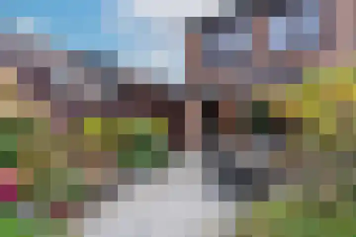 Kolkemonde 18 Nieuwegein thumbnail 15