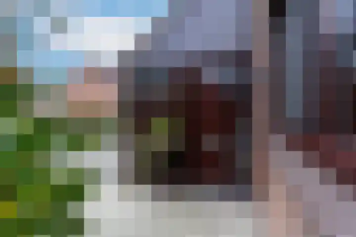 Kolkemonde 18 Nieuwegein thumbnail 31