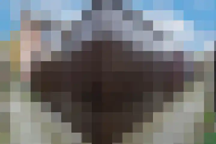 Kolkemonde 18 Nieuwegein thumbnail 33