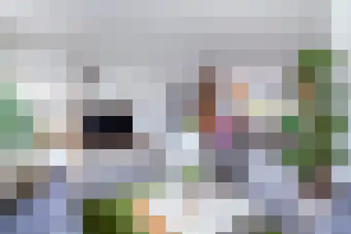 Kolkemonde 18 Nieuwegein thumbnail 6