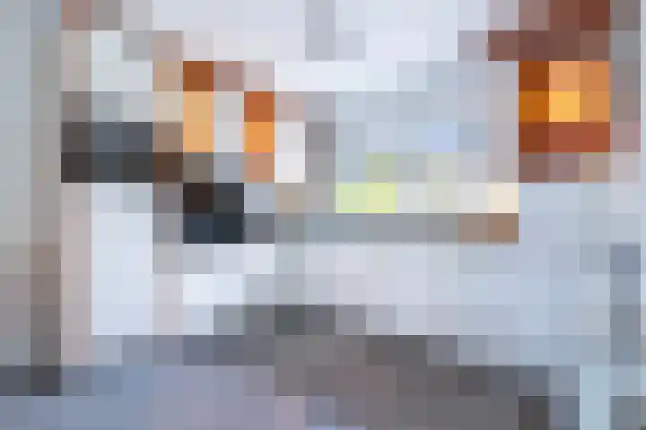Kolkemonde 18 Nieuwegein thumbnail 9