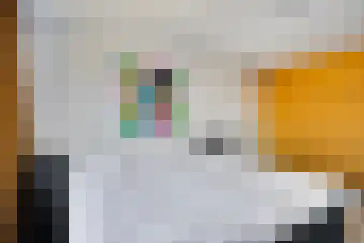 Kolkgriend 129 Almere thumbnail 25