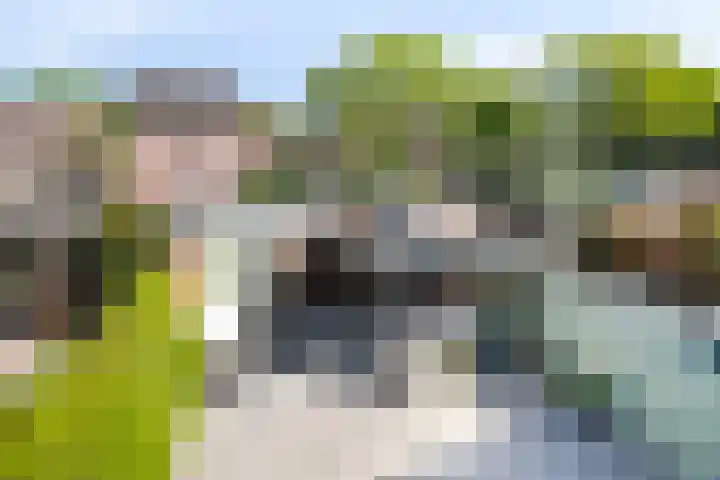 Kolkgriend 129 Almere thumbnail 28
