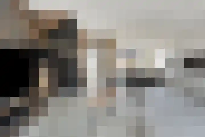 Kolkgriend 129 Almere foto 3