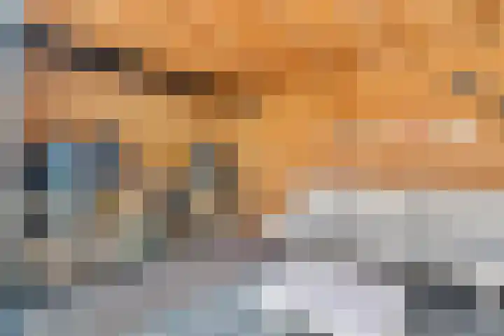 Kolkgriend 129 Almere thumbnail 36
