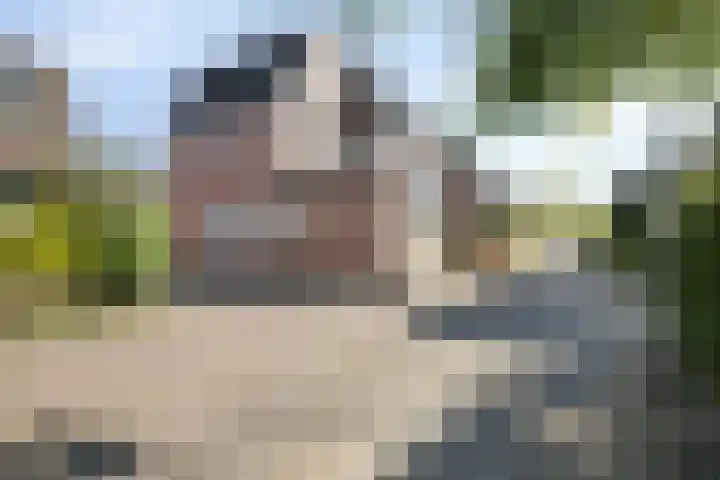Kolkgriend 129 Almere thumbnail 40