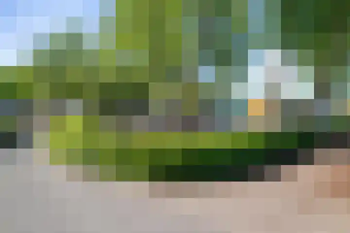 Kolkgriend 129 Almere thumbnail 41