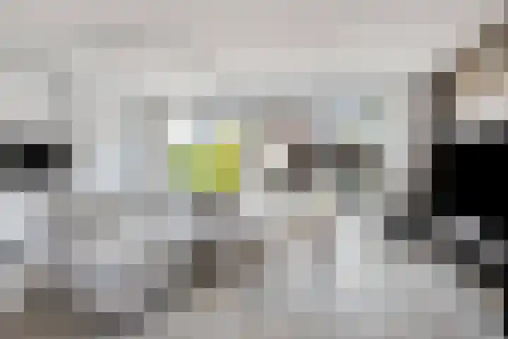 Kolkgriend 129 Almere thumbnail 7