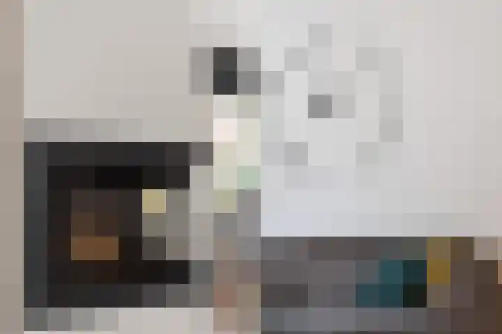 Kolkgriend 147 Almere thumbnail 12