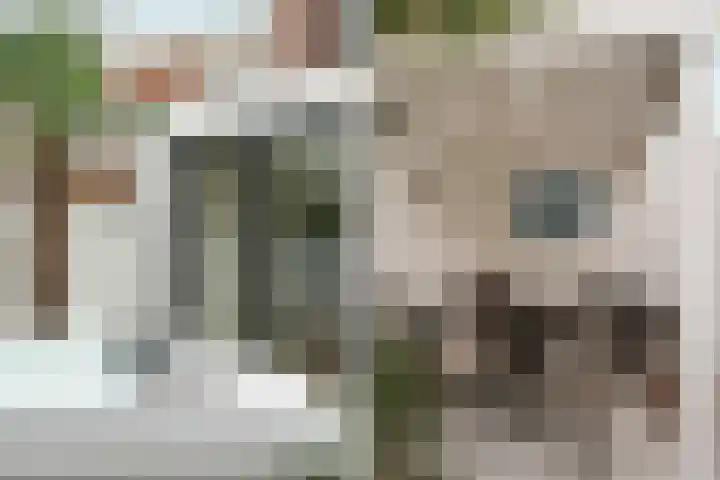 Kolkgriend 147 Almere thumbnail 35
