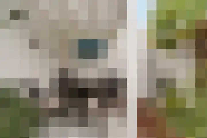 Kolkgriend 147 Almere thumbnail 36