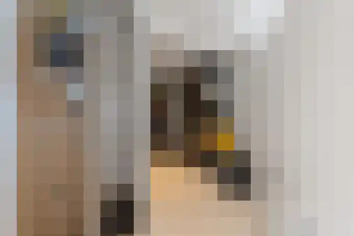 Kolkgriend 147 Almere thumbnail 38