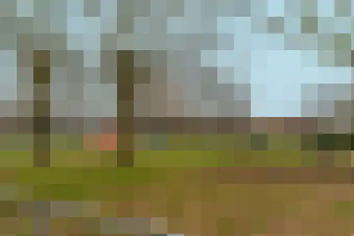 Kolkgriend 147 Almere thumbnail 44