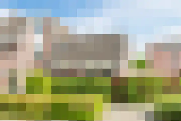 Kolkgriend 16 Almere